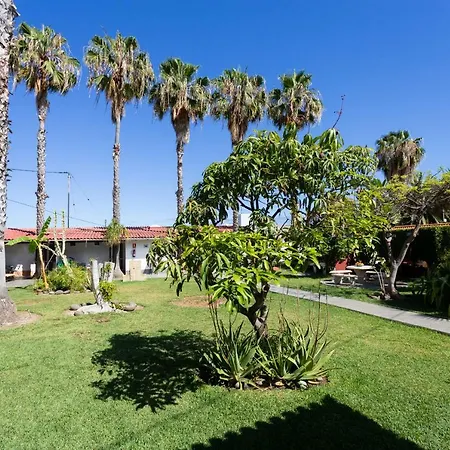 La Gaviota - Maxi Apartmán Icod De Los Vinos